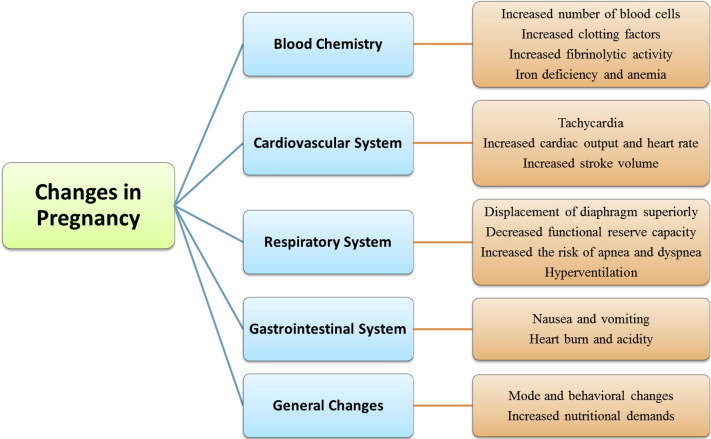 Physical and emotional changes in women during pregnancy