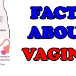 Amazing and interesting things about vagina