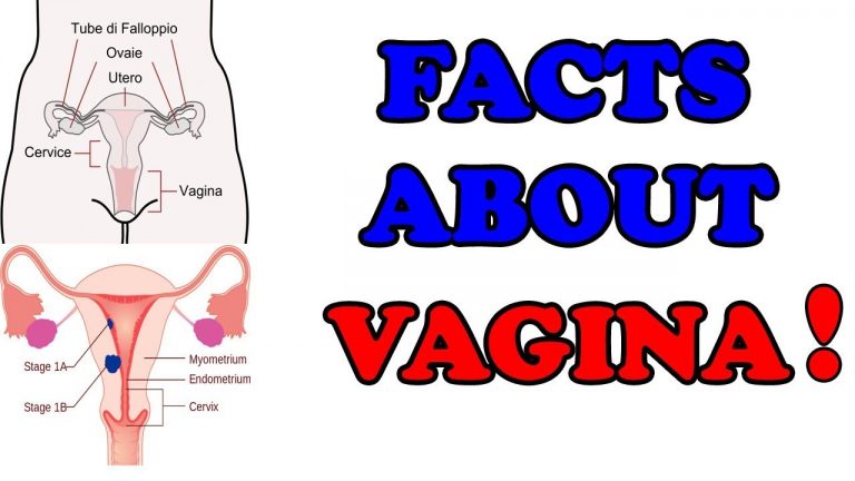 Amazing and interesting things about vagina