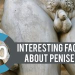 10 interesting and exciting facts about penis